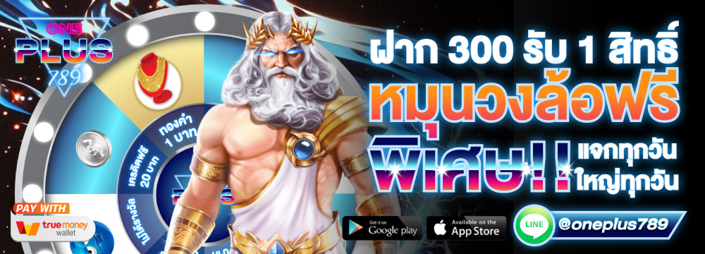 โปรโมชั่น maxzeed