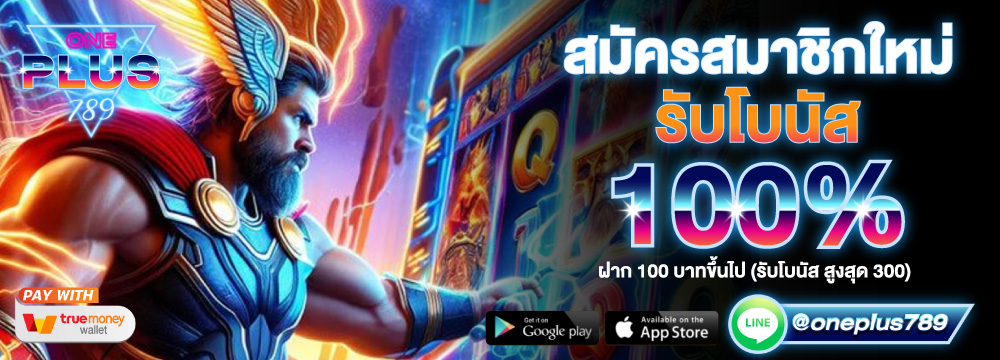 โปรโมชั่น maxzeed